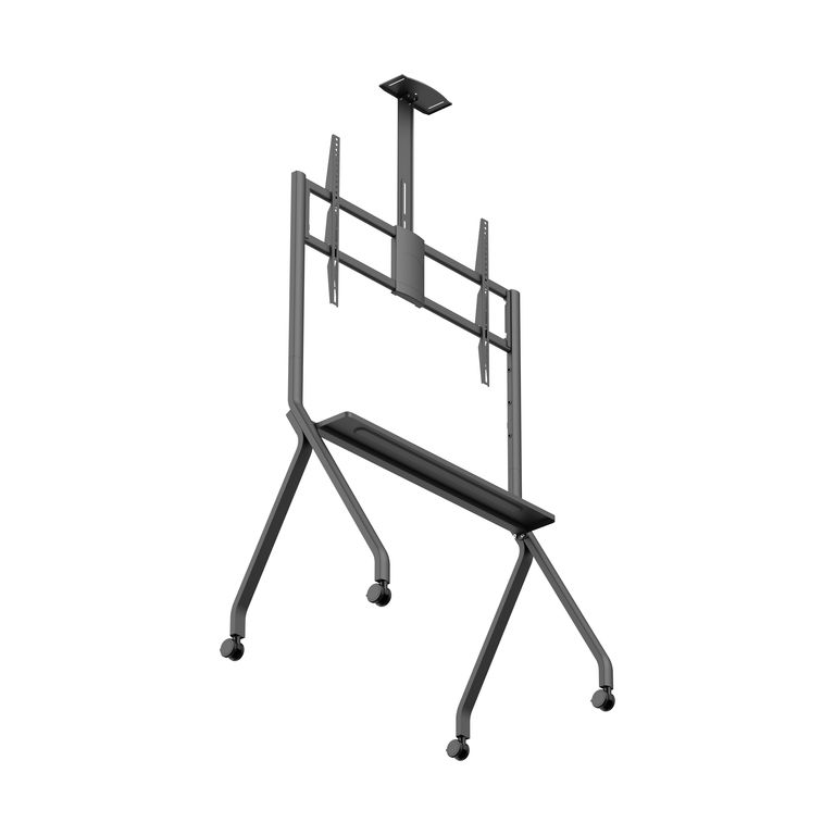 DSM_P1296-5.jpg