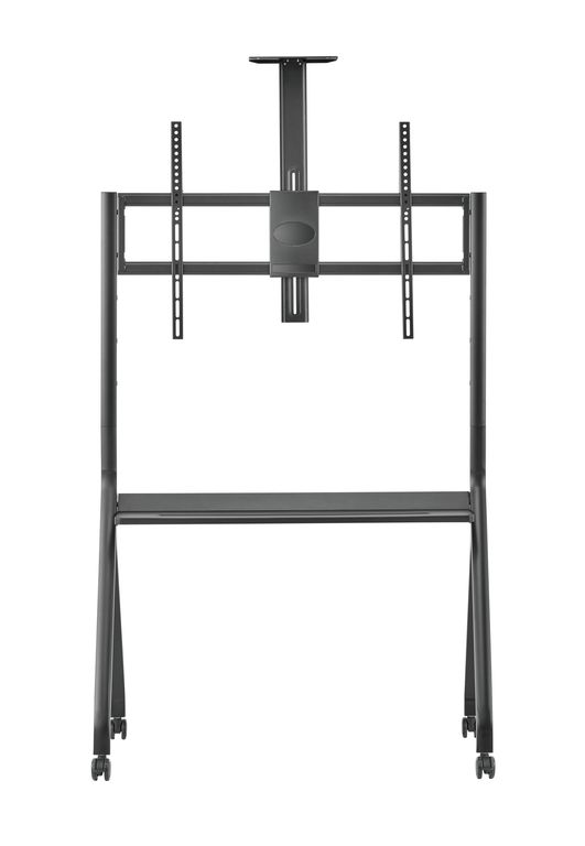DSM_P1296-2.jpg