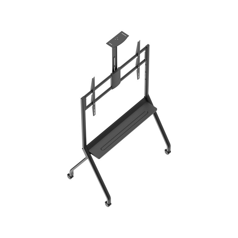 DSM_P1296-6.jpg