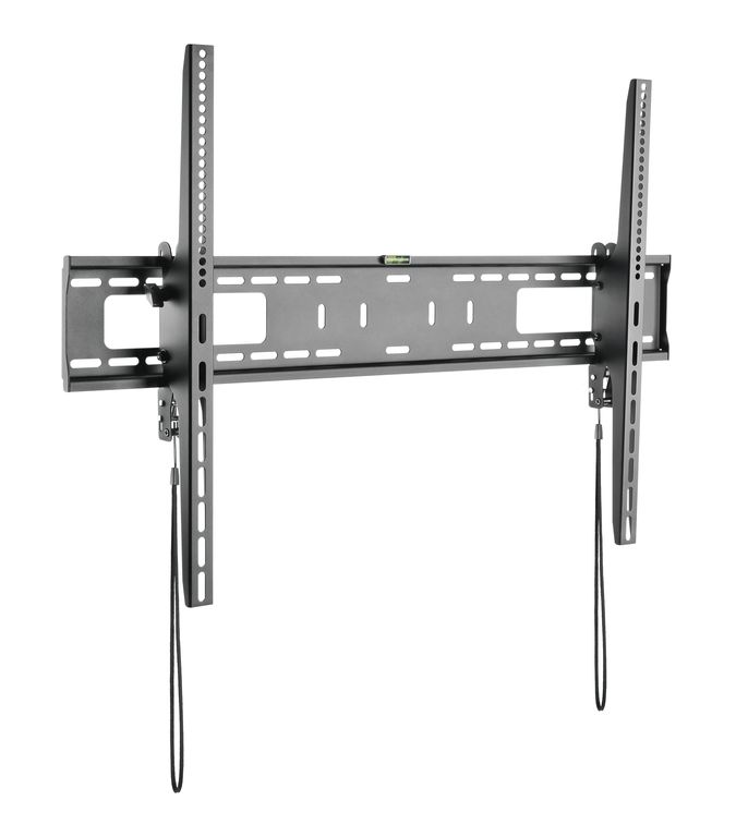 DSM_P1096T-2.JPG