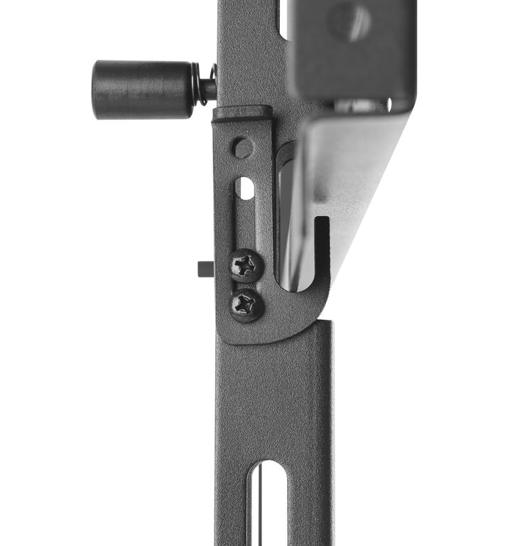 DSM_P0270_detail-05.JPG