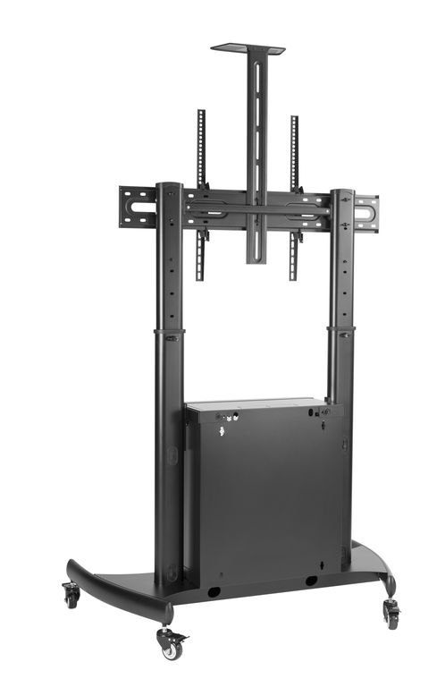 DSM_P2106CB-3.jpg