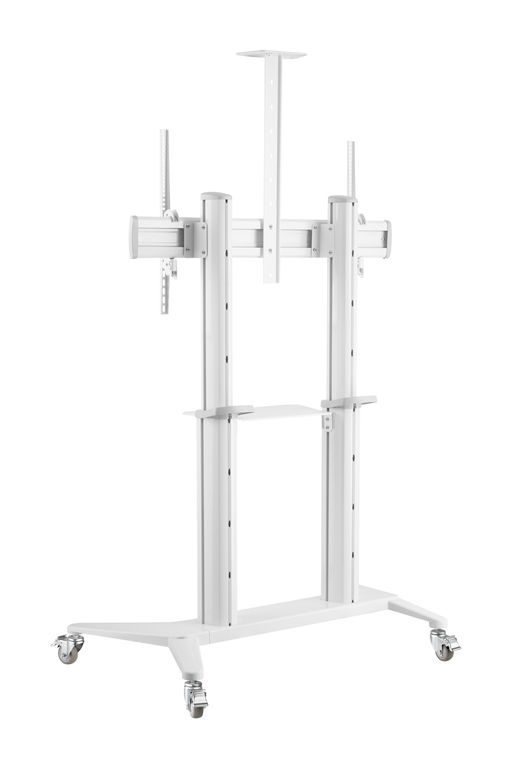 DSM_P7106C-4.jpg