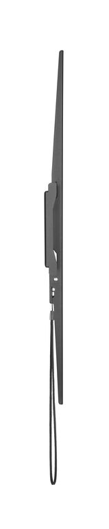 DSM_P1096F-3.JPG