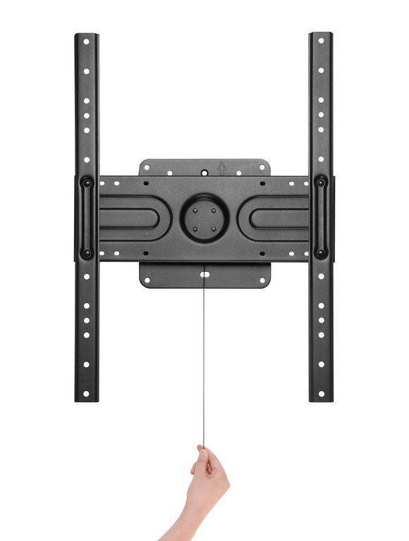 DSM_P5664_Flip-7.jpg