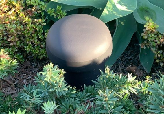 55953_03.jpg