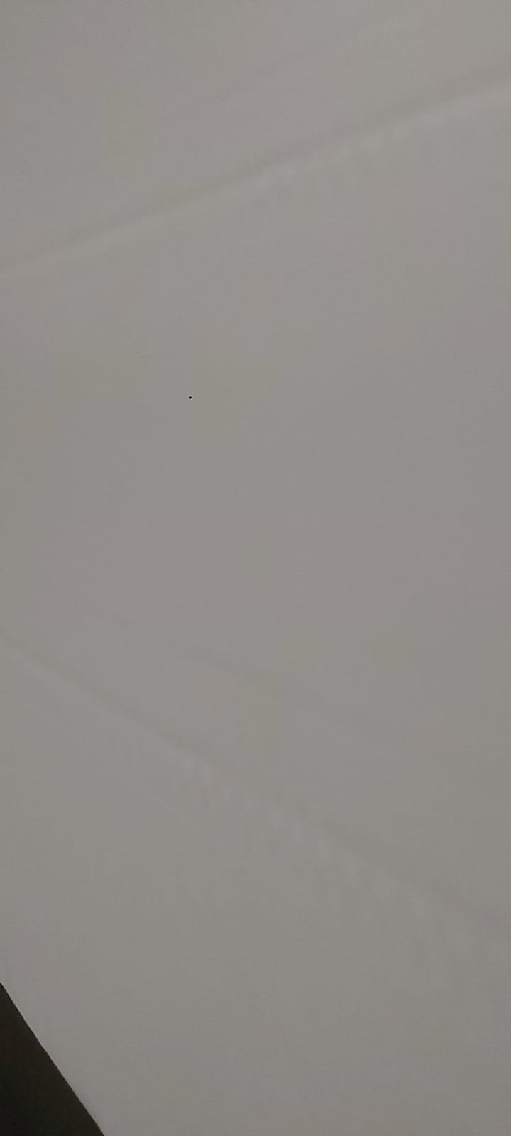 128296_3.jpg