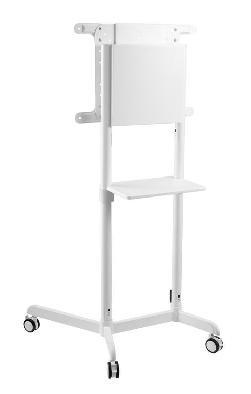 DSM_P566-_FLIP_-3.jpg