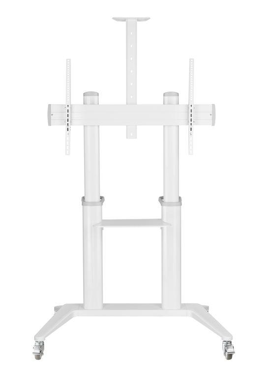 DSM_P7106C-2.jpg