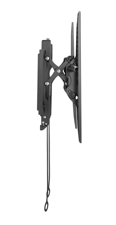 DSM_P6542T_04.jpg