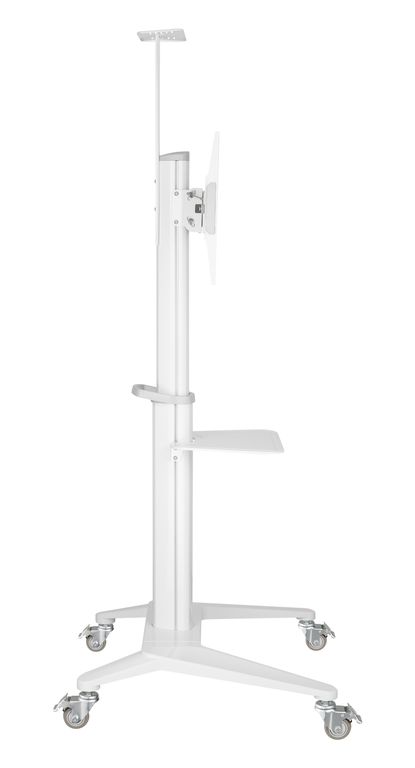 DSM_P764C-3.jpg