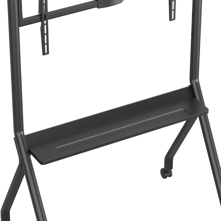 DSM_P1296-3.jpg