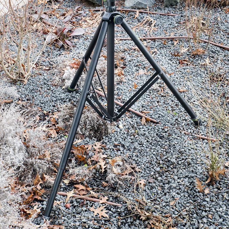 63792_05.jpg