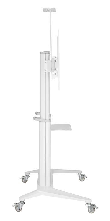 DSM_P7106C-3.jpg