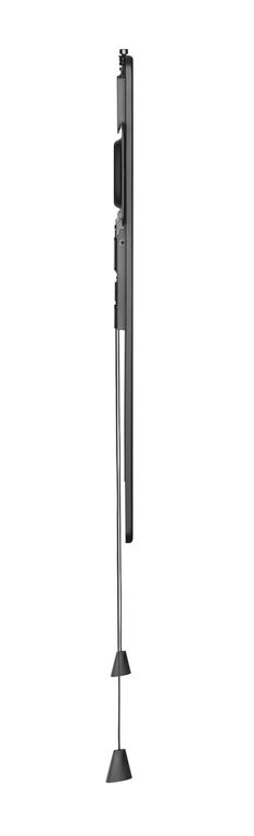 DSM_P5740-3.jpg