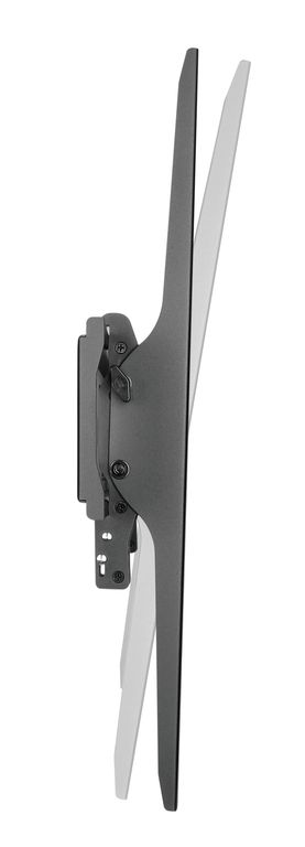 DSM_P1096T-3.jpg