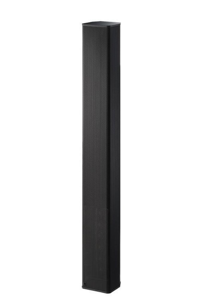 56291