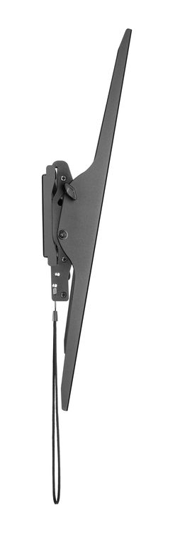 DSM_P1096T-4.JPG