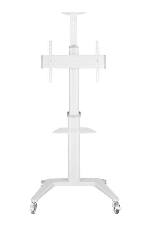 DSM_P764C-2.jpg