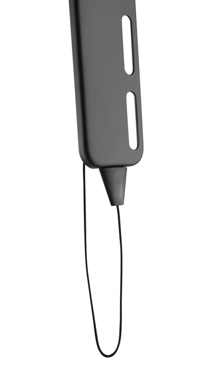 DSM_P5740-4.jpg
