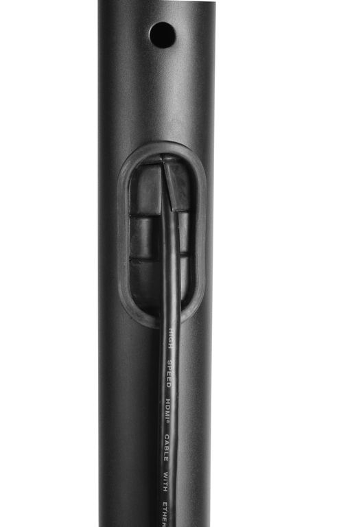 DSM_P164CL-3.jpg
