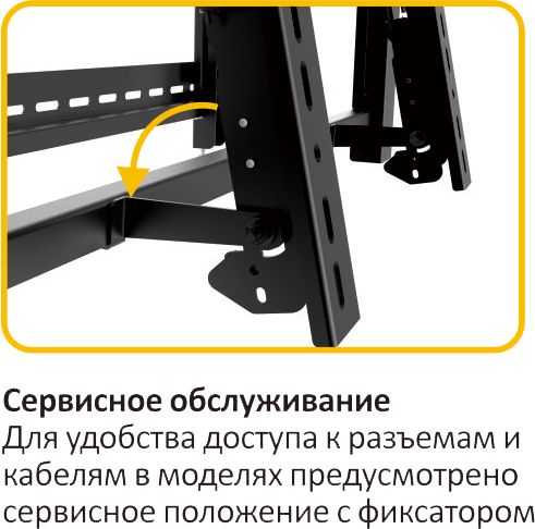 info7.jpg