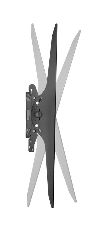 DSM_P1108T-3.jpg