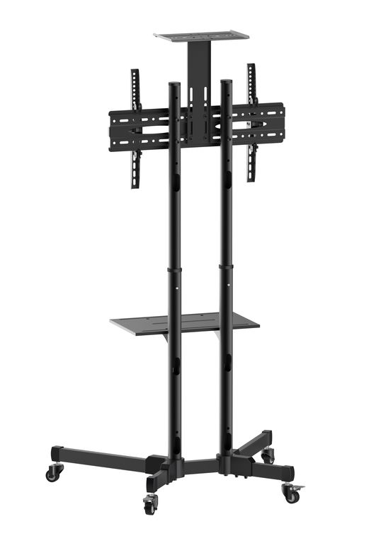 DSM_P164CL-1.jpg