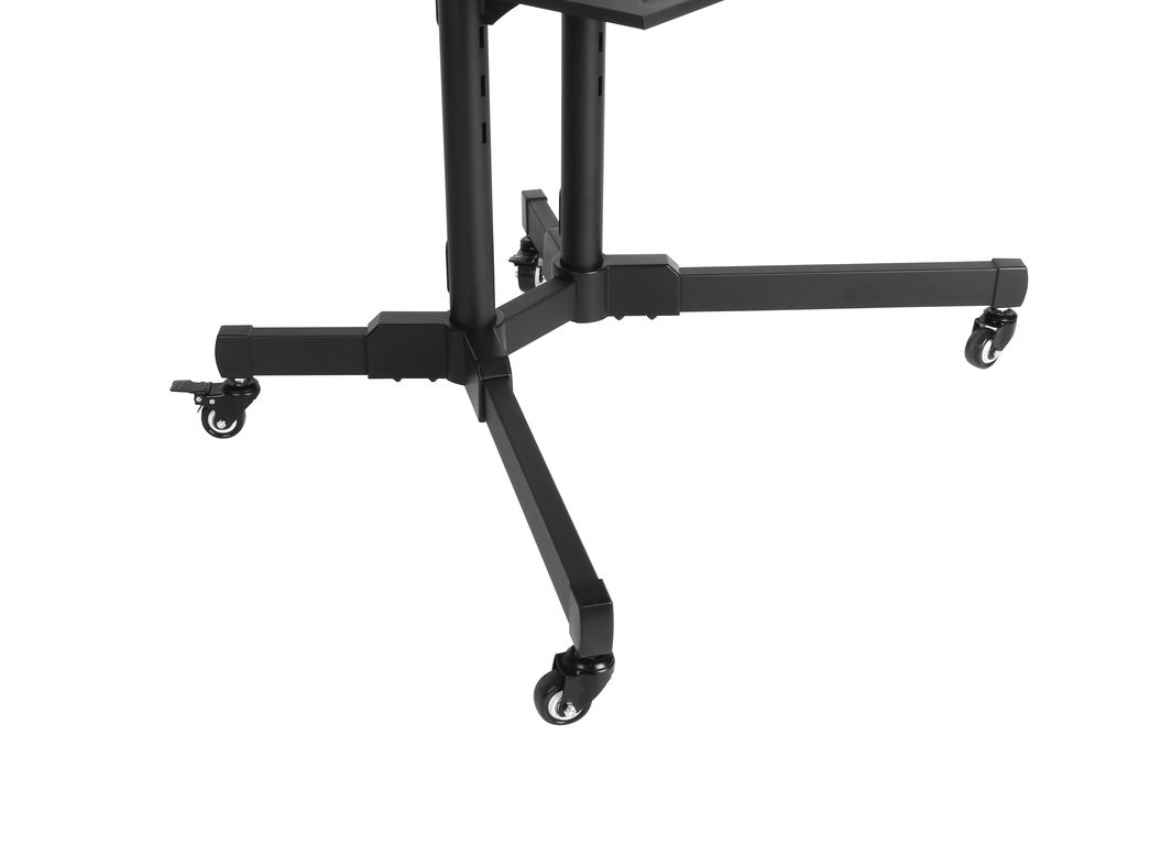 DSM_P164CL-2.jpg