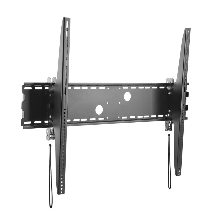 DSM_P1108T-2.JPG