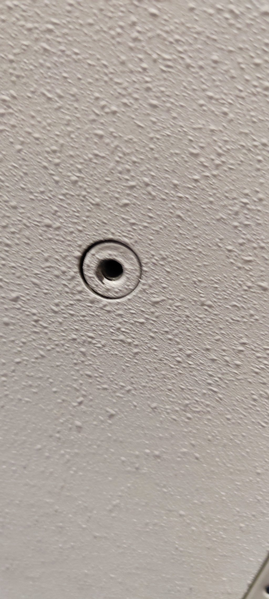 128737_2.jpg